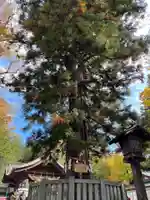 諏訪大社下社秋宮(長野県)