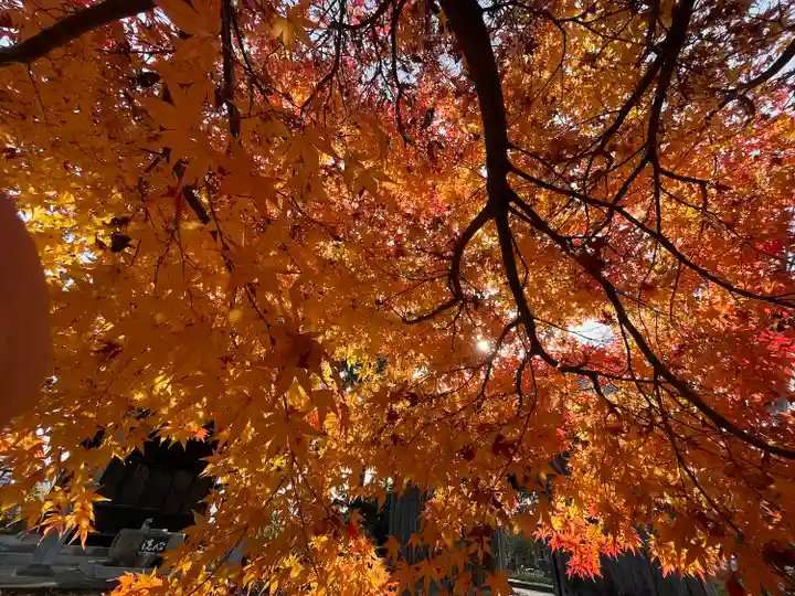 勝福寺(福島県)