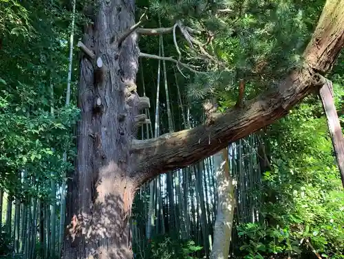 天翁院(栃木県)
