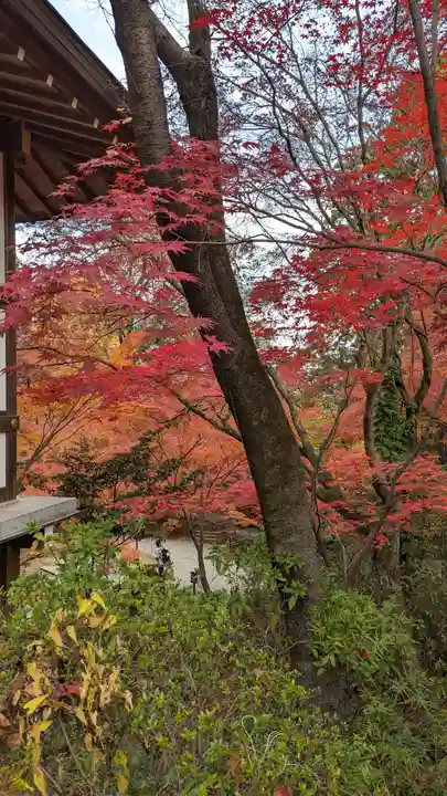 長岡天満宮(京都府)