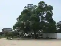 善照寺(山口県)