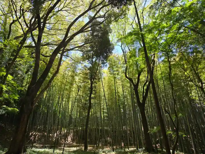 三女神社(京都府)
