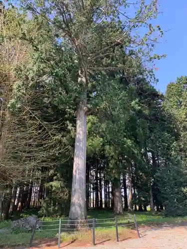 七社神社の自然