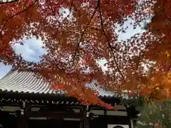 大正寺の建物その他