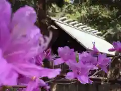 伊奈冨神社(三重県)