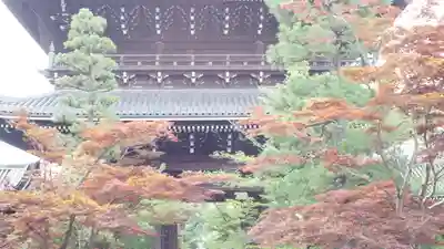 くろ谷 金戒光明寺(京都府)