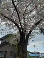 八坂神社(岩手県)