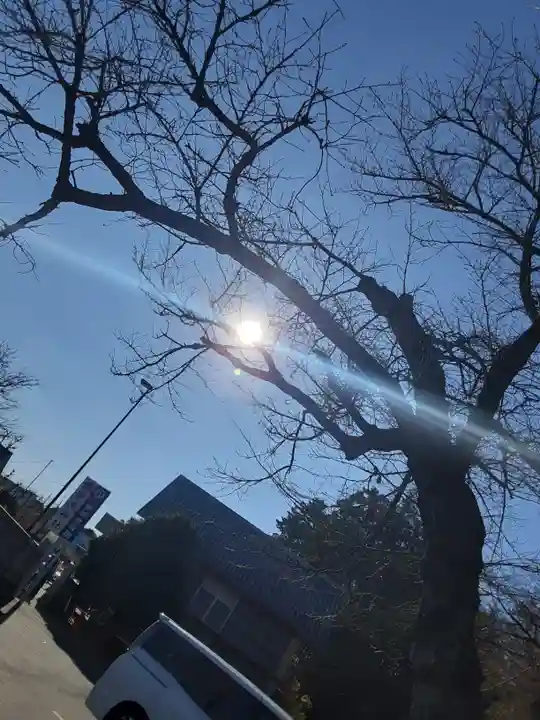 菅原神社(東京都)