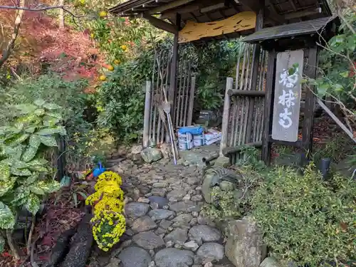 禅林寺(岐阜県)