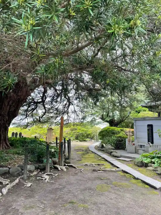 安養院 (田代寺)の{uncategorized: "未分類", other: "その他", undefined: "問題あり", building: "その他建物", grave: "お墓", sacred_gate: "鳥居", guardian: "狛犬", statue: "像", buddha: "仏像", history: "歴史", nature: "自然", garden: "庭園", animal: "動物", pagoda: "塔", temizu: "手水舎", mountain_gate: "山門・神門", sanctuary: "本殿・本堂", subordinate: "末社・摂社", art: "芸術", scenery: "景色", jizo: "地蔵", ema: "絵馬", goshuin: "御朱印", omikuji: "おみくじ", items: "授与品その他", amulet: "お守り", goshuincho: "御朱印帳", eats: "食事", festival: "お祭り", votive_dance: "神楽", shichigosan: "七五三参", wedding: "結婚式", experience: "体験その他", initially: "初詣", around: "周辺", anti_infection: "感染症対策"}