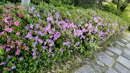長建寺(京都府)