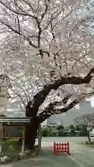 居木神社の自然