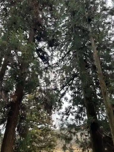 大宮温泉神社(栃木県)