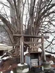 黄金龍神社（桂不動）の末社