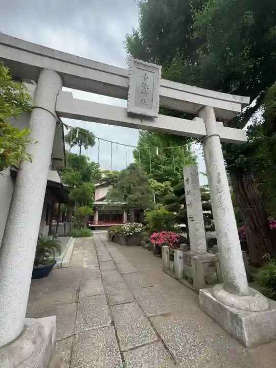 青砥神社の{uncategorized: "未分類", other: "その他", undefined: "問題あり", building: "その他建物", grave: "お墓", sacred_gate: "鳥居", guardian: "狛犬", statue: "像", buddha: "仏像", history: "歴史", nature: "自然", garden: "庭園", animal: "動物", pagoda: "塔", temizu: "手水舎", mountain_gate: "山門・神門", sanctuary: "本殿・本堂", subordinate: "末社・摂社", art: "芸術", scenery: "景色", jizo: "地蔵", ema: "絵馬", goshuin: "御朱印", omikuji: "おみくじ", items: "授与品その他", amulet: "お守り", goshuincho: "御朱印帳", eats: "食事", festival: "お祭り", votive_dance: "神楽", shichigosan: "七五三参", wedding: "結婚式", experience: "体験その他", initially: "初詣", around: "周辺", anti_infection: "感染症対策"}