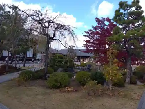 蓮華王院（三十三間堂）(京都府)