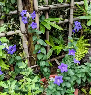 花園稲荷神社(東京都)