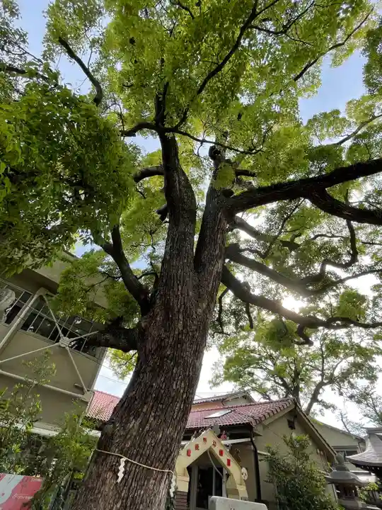 皇大神社の自然
