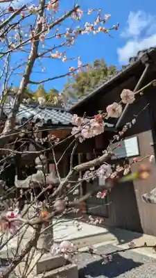 天穂日命神社(京都府)
