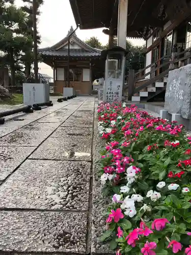 瑞雲寺の庭園