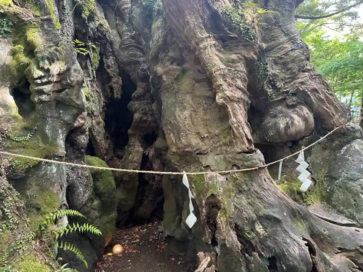 來宮神社(静岡県)