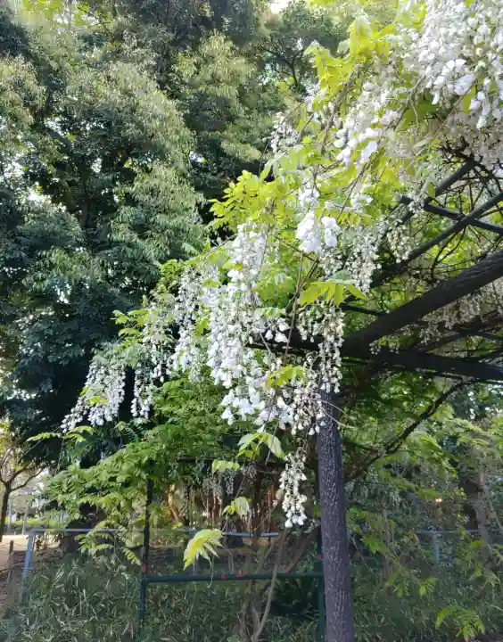 和樂備神社(埼玉県)