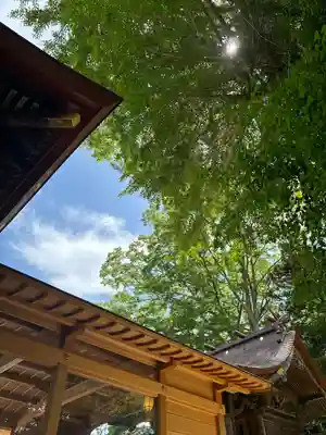 津島神社(宮城県)