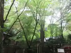 石山寺(滋賀県)