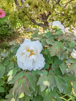 乙訓寺(京都府)