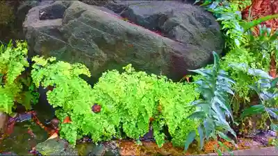 馬橋稲荷神社のその他建物