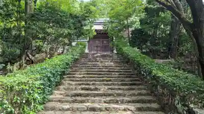 龍安寺(京都府)