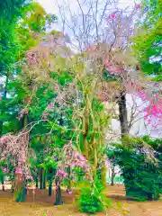 岡見八坂神社(茨城県)