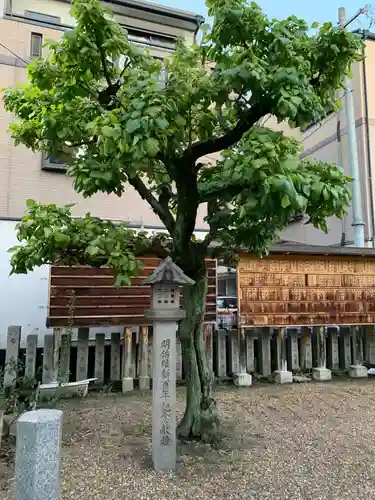 堤根神社の自然