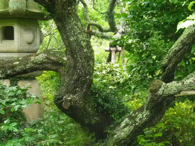 瑞泉寺の自然