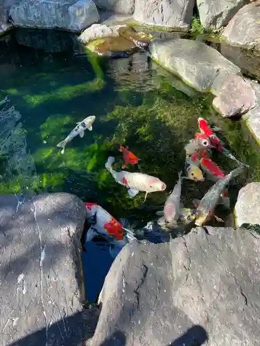 甚行寺(神奈川県)