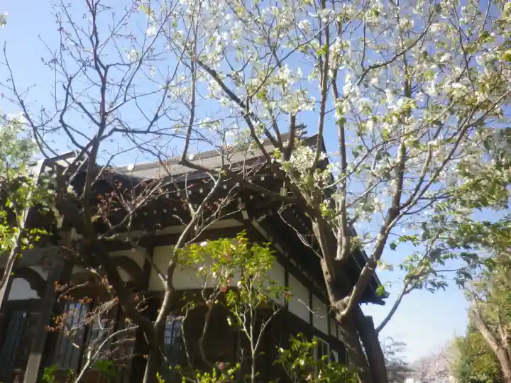 教恩寺の本殿・本堂