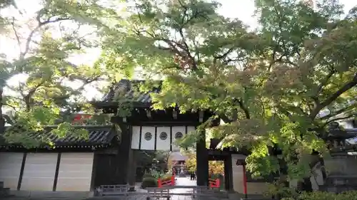 今宮神社の山門・神門