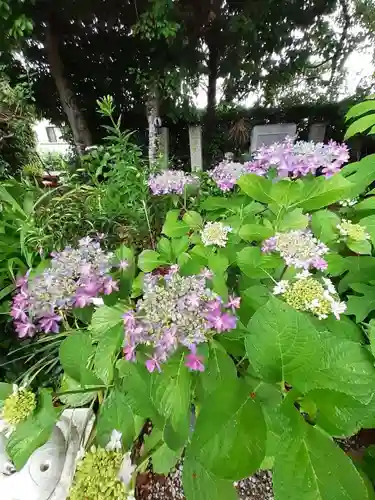 源九郎稲荷神社(奈良県)