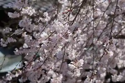 水無瀬神宮(大阪府)