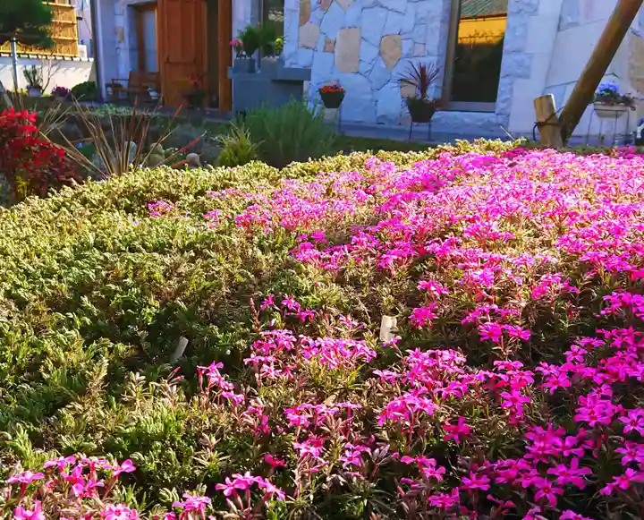 寿量山 速成寺の自然