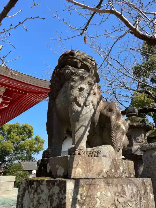 井上八幡神社の狛犬