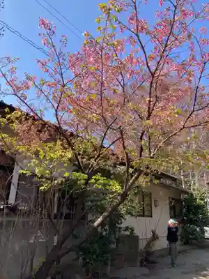 龍峰寺(神奈川県)