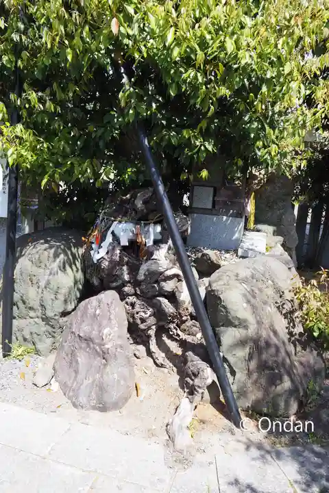 稗田野神社(薭田野神社)(京都府)