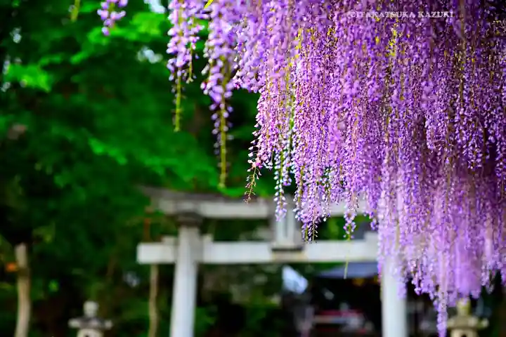 日吉神社(東京都)