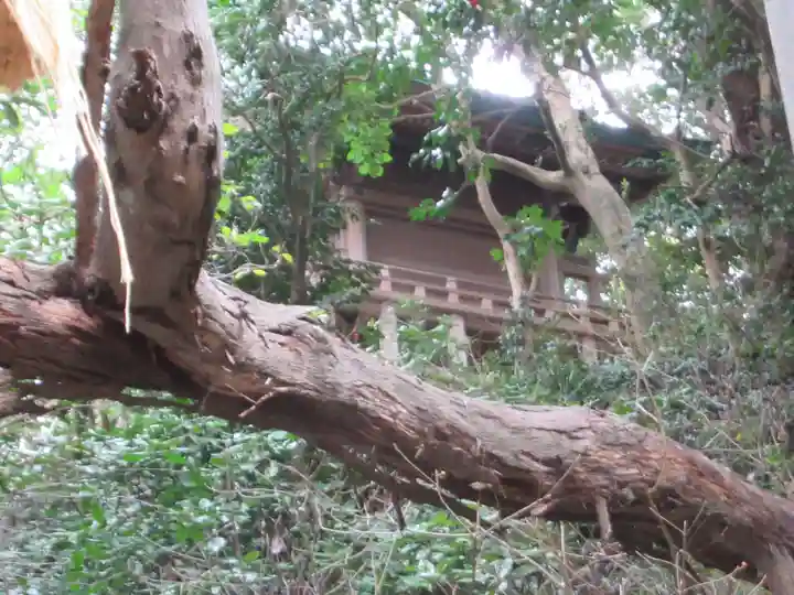 児玉神社(神奈川県)