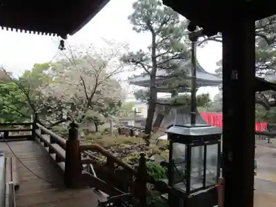 葛井寺(大阪府)