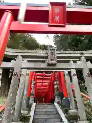 大杉神社(茨城県)