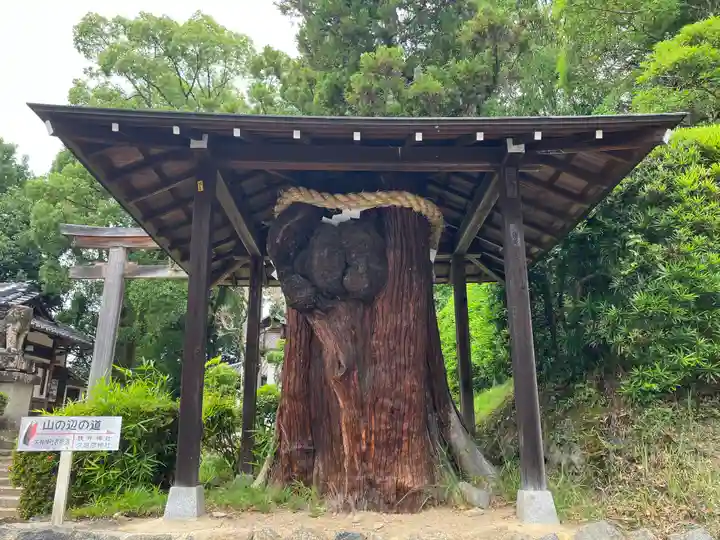 大直禰子神社(奈良県)