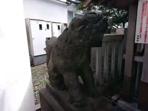 築土神社の狛犬