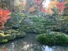 西明寺の庭園